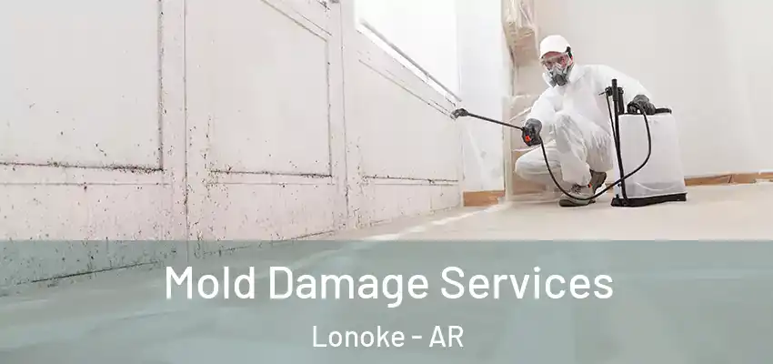  Mold Damage Services Lonoke - AR