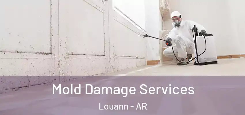  Mold Damage Services Louann - AR