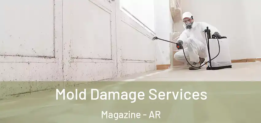  Mold Damage Services Magazine - AR