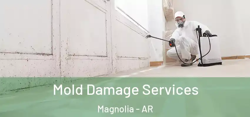  Mold Damage Services Magnolia - AR