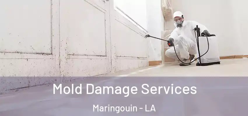  Mold Damage Services Maringouin - LA