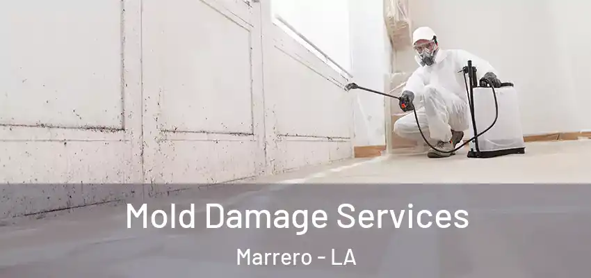  Mold Damage Services Marrero - LA