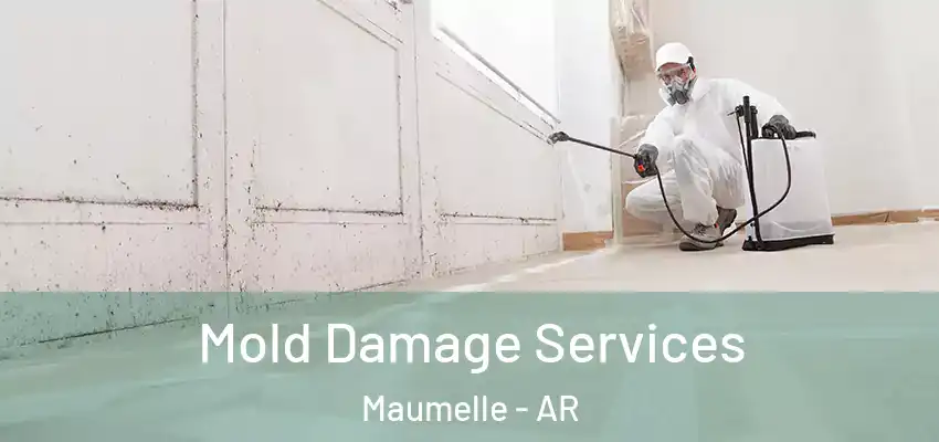  Mold Damage Services Maumelle - AR