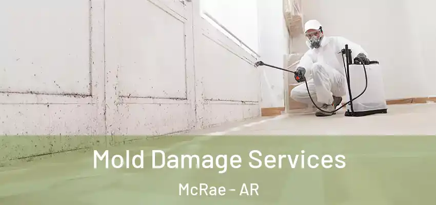 Mold Damage Services McRae - AR