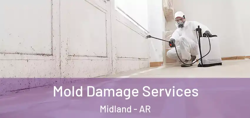  Mold Damage Services Midland - AR
