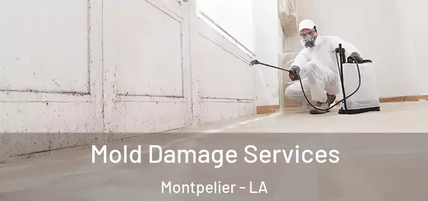  Mold Damage Services Montpelier - LA