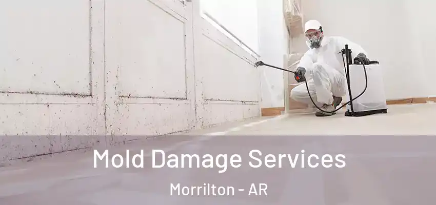  Mold Damage Services Morrilton - AR