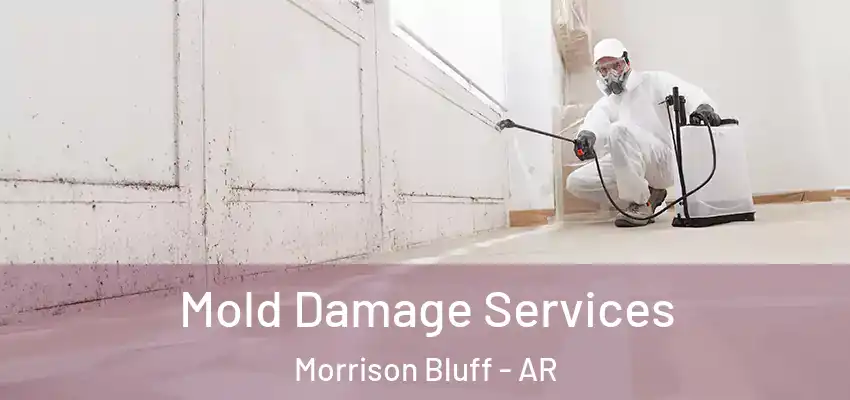 Mold Damage Services Morrison Bluff - AR