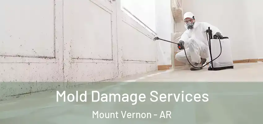  Mold Damage Services Mount Vernon - AR