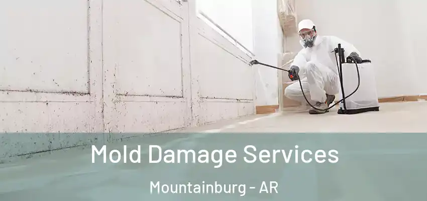  Mold Damage Services Mountainburg - AR