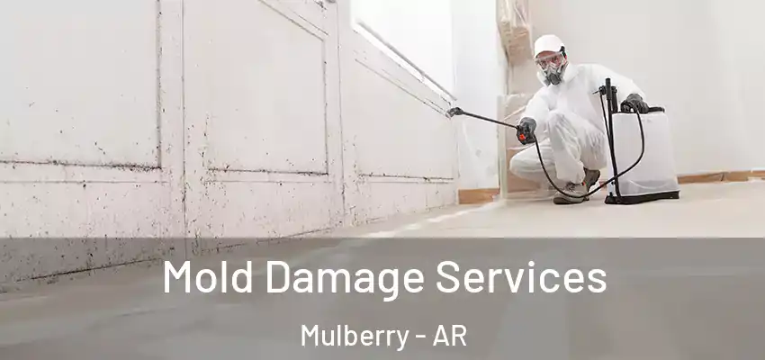  Mold Damage Services Mulberry - AR