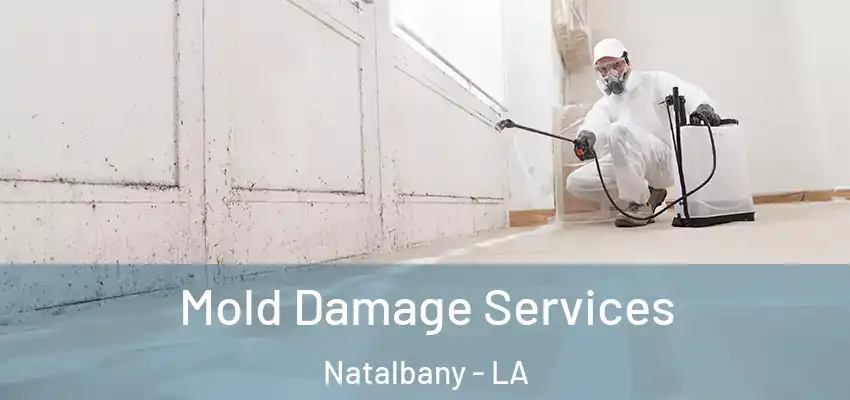  Mold Damage Services Natalbany - LA