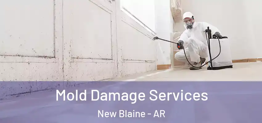  Mold Damage Services New Blaine - AR