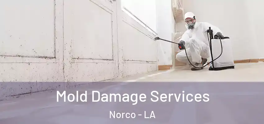  Mold Damage Services Norco - LA