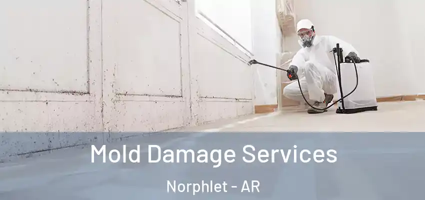Mold Damage Services Norphlet - AR