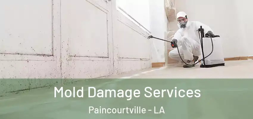  Mold Damage Services Paincourtville - LA