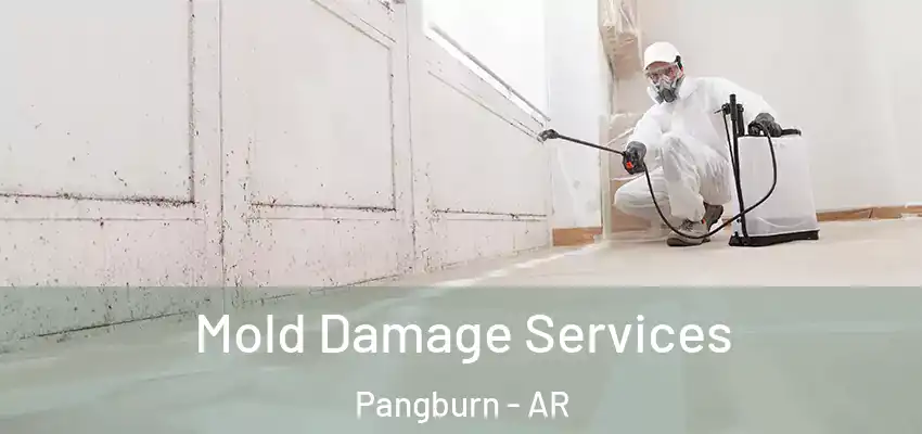  Mold Damage Services Pangburn - AR
