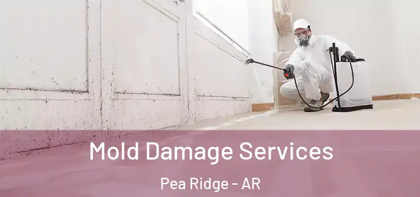 Mold Damage Services Pea Ridge - AR