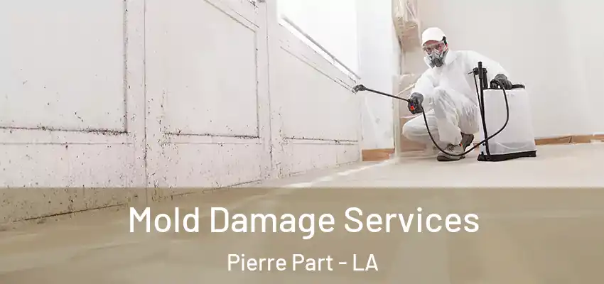  Mold Damage Services Pierre Part - LA