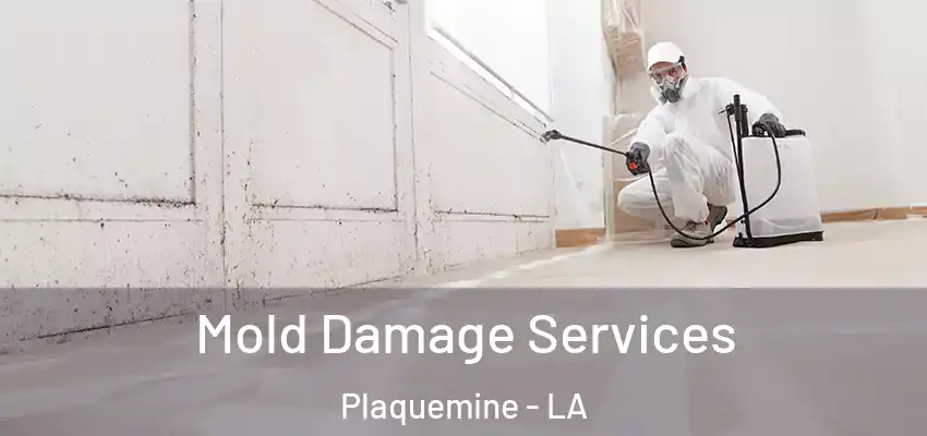  Mold Damage Services Plaquemine - LA