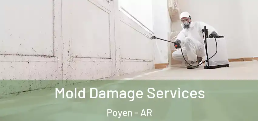  Mold Damage Services Poyen - AR