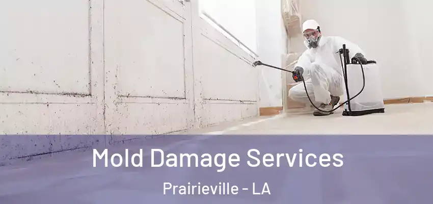  Mold Damage Services Prairieville - LA