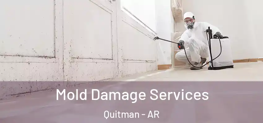 Mold Damage Services Quitman - AR