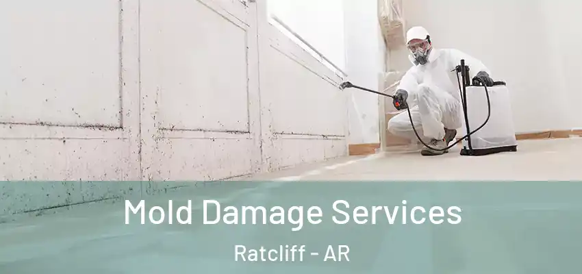  Mold Damage Services Ratcliff - AR