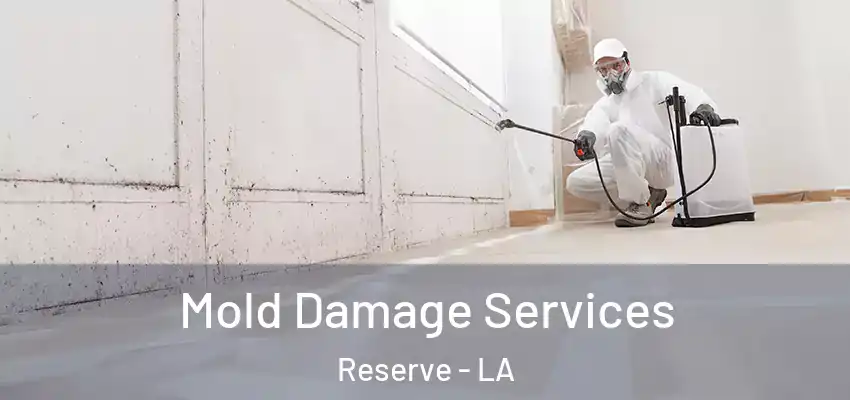  Mold Damage Services Reserve - LA