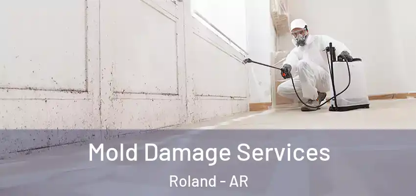  Mold Damage Services Roland - AR