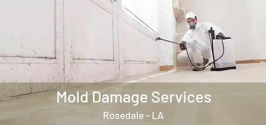  Mold Damage Services Rosedale - LA