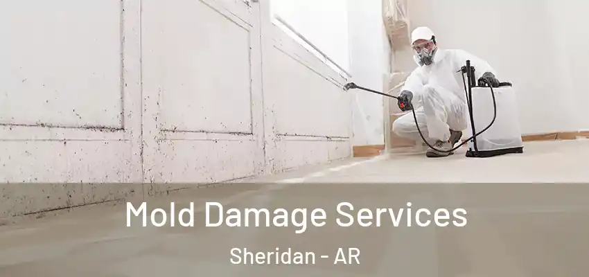  Mold Damage Services Sheridan - AR