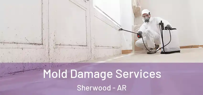  Mold Damage Services Sherwood - AR