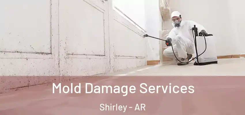  Mold Damage Services Shirley - AR