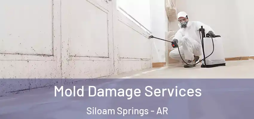  Mold Damage Services Siloam Springs - AR
