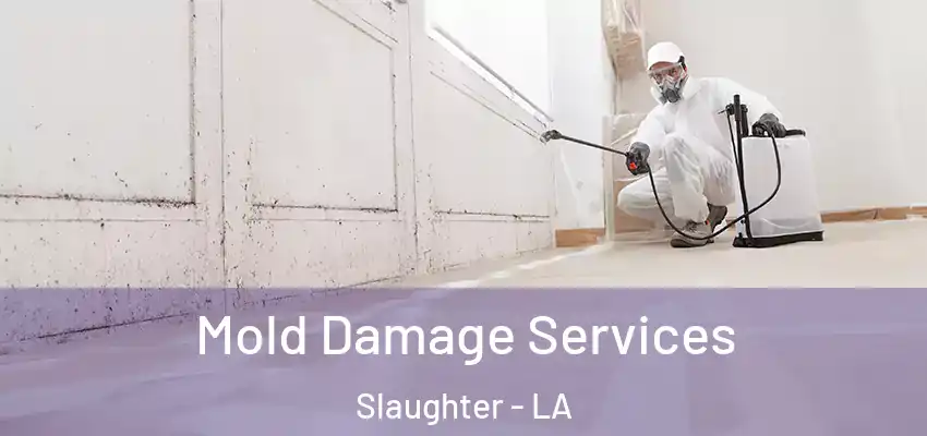 Mold Damage Services Slaughter - LA