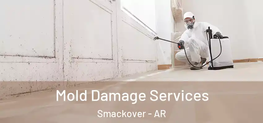  Mold Damage Services Smackover - AR