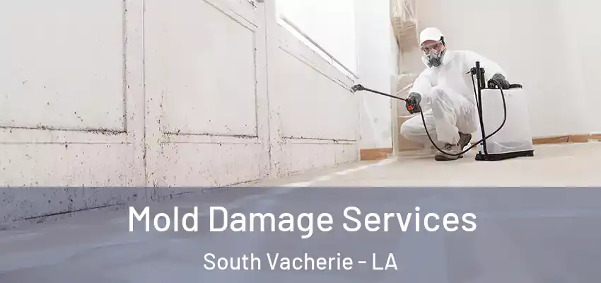  Mold Damage Services South Vacherie - LA