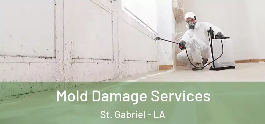  Mold Damage Services St. Gabriel - LA