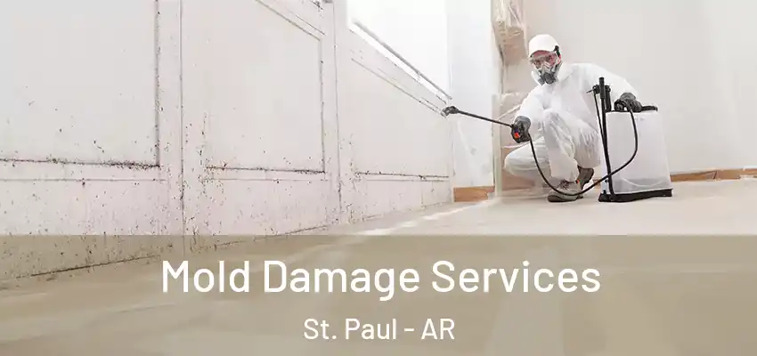 Mold Damage Services St. Paul - AR