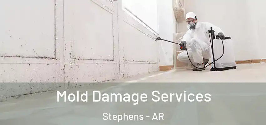 Mold Damage Services Stephens - AR