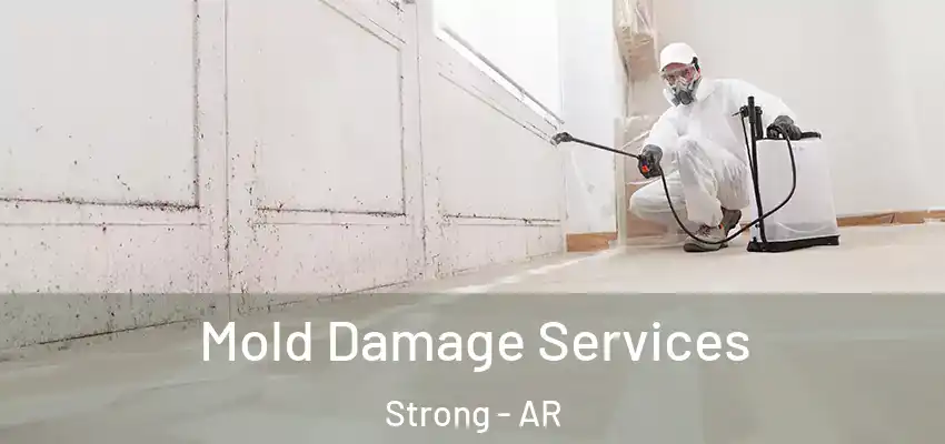 Mold Damage Services Strong - AR