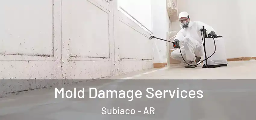  Mold Damage Services Subiaco - AR