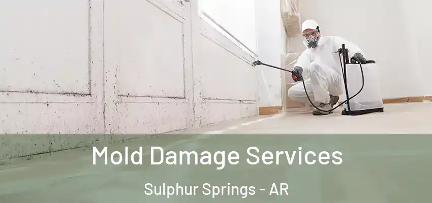  Mold Damage Services Sulphur Springs - AR