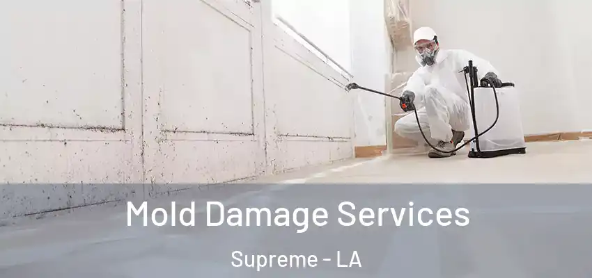  Mold Damage Services Supreme - LA
