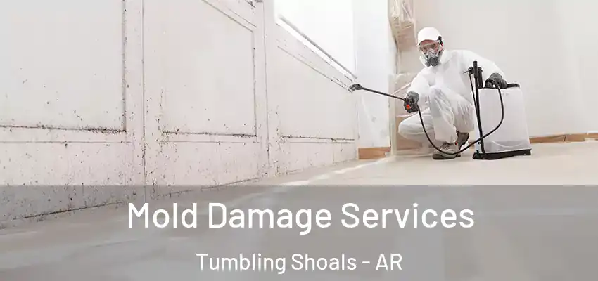  Mold Damage Services Tumbling Shoals - AR