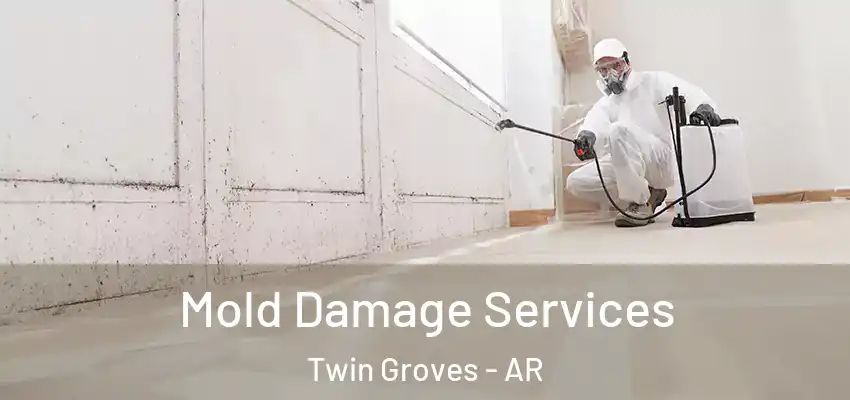  Mold Damage Services Twin Groves - AR