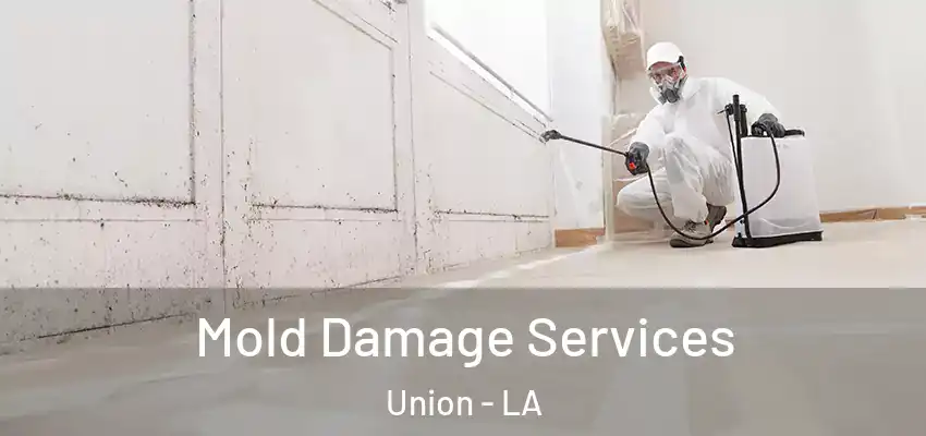 Mold Damage Services Union - LA
