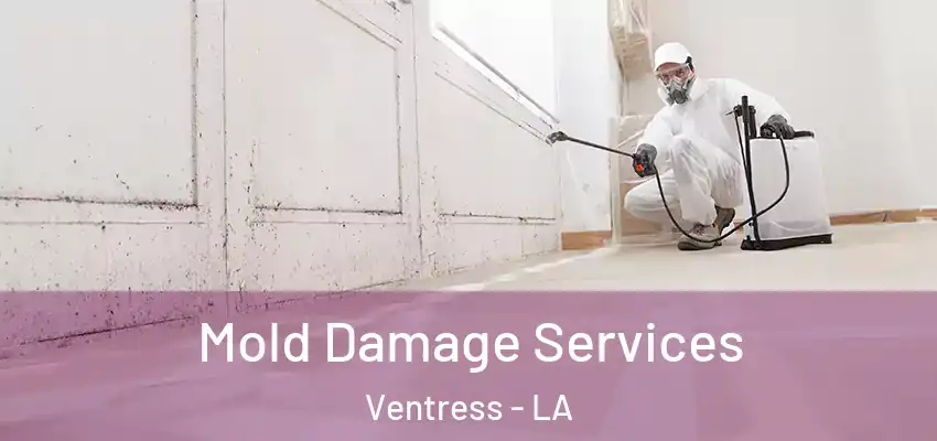  Mold Damage Services Ventress - LA