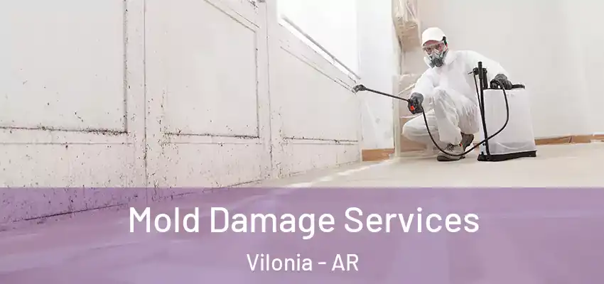  Mold Damage Services Vilonia - AR